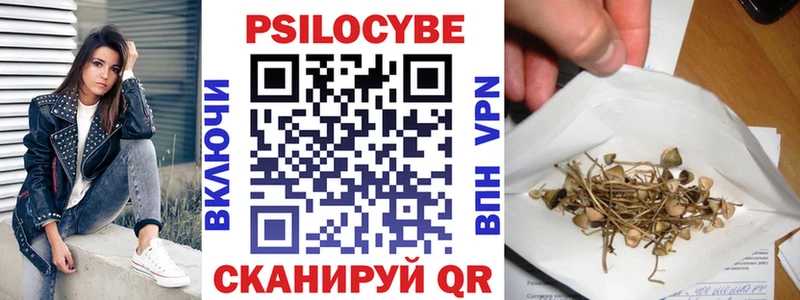 где можно купить   Краснослободск  Псилоцибиновые грибы мицелий 